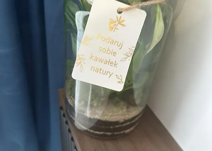 Czarne Owce * Szklarska Poręba