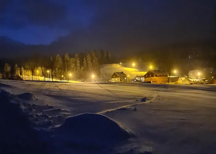 Czarne Owce Apartament *